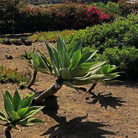 Βίλα Dammusi I Jardina